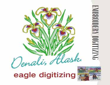 professional digitizing service